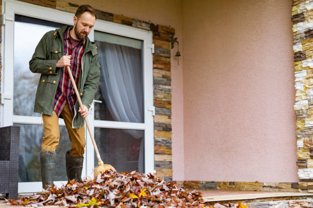 Debris Removal in Hurley, MS